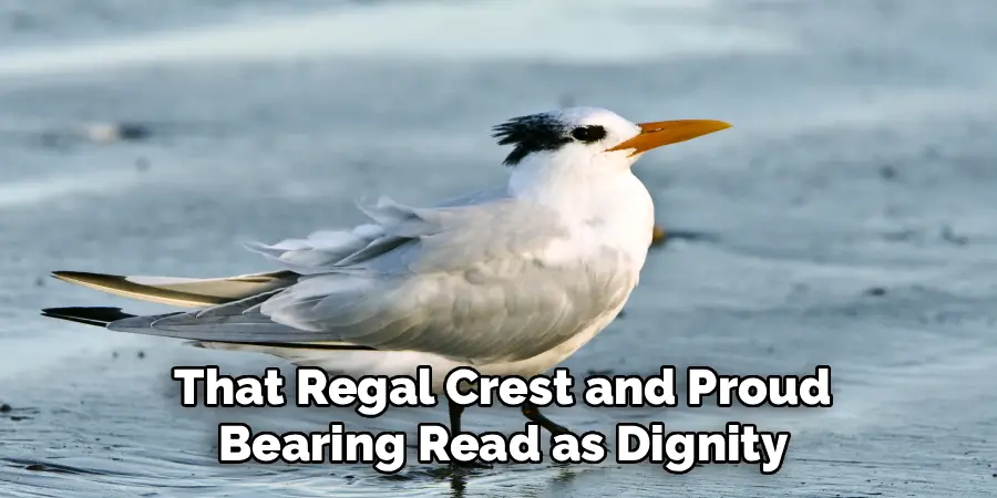 That Regal Crest and Proud
Bearing Read as Dignity