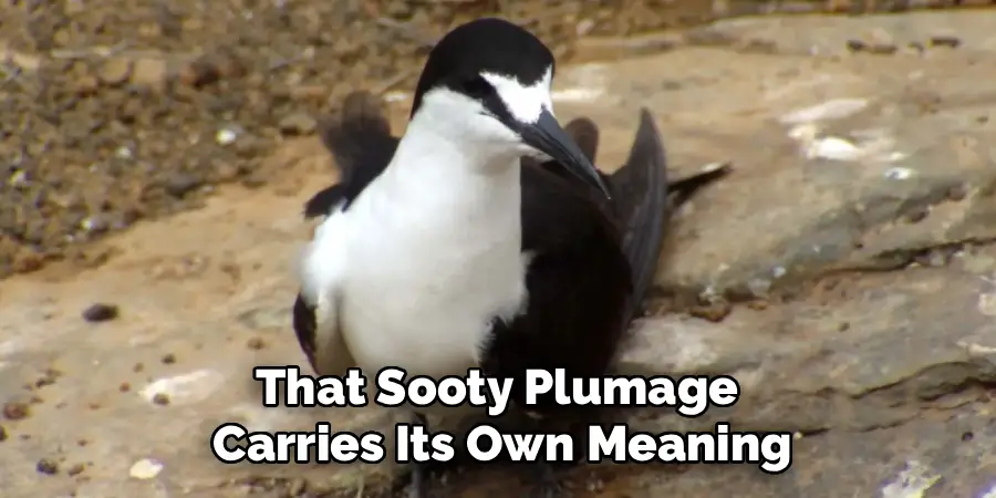 That Sooty Plumage
Carries Its Own Meaning