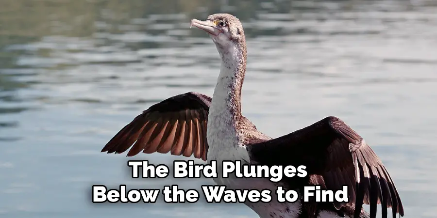 The Bird Plunges
Below the Waves to Find