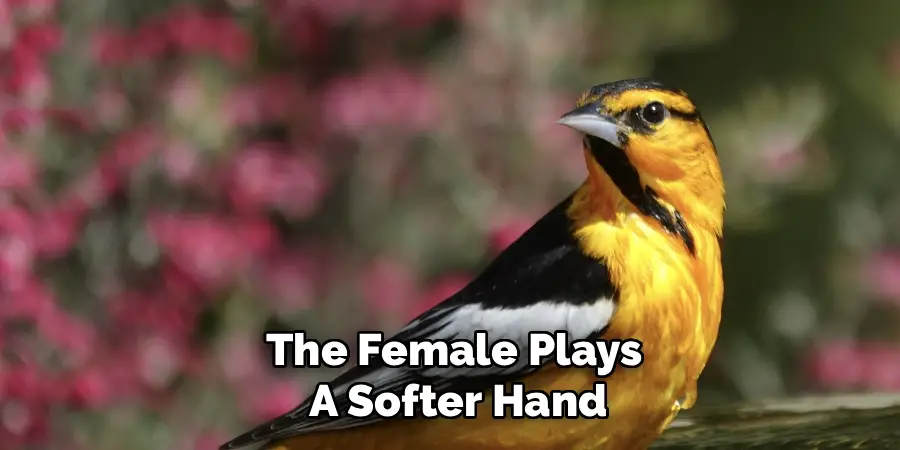 The Female Plays
 A Softer Hand