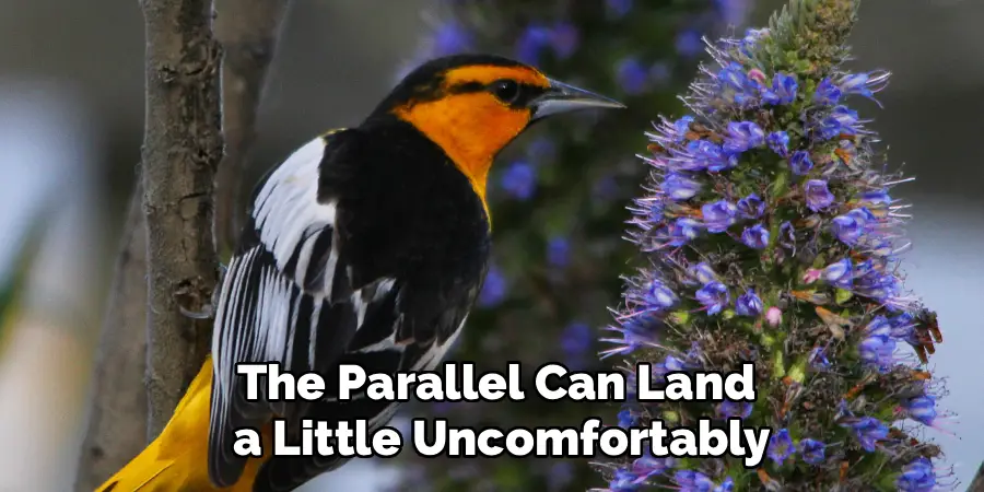 The Parallel Can Land
 a Little Uncomfortably