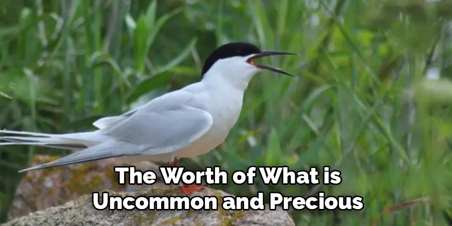 The Worth of What is
Uncommon and Precious