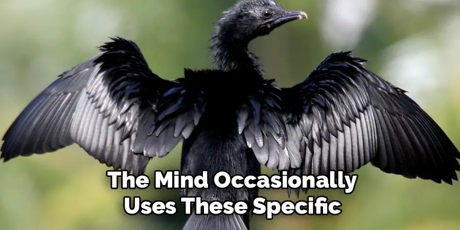 The mind occasionally uses these specific