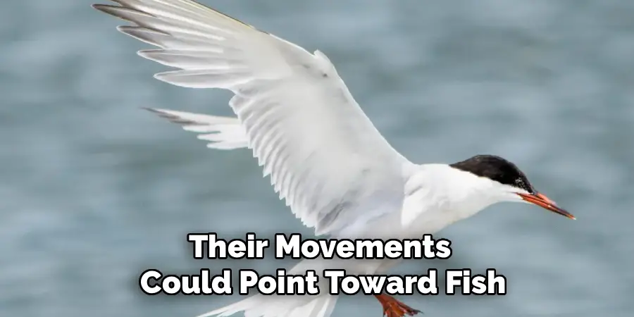 Their Movements
Could Point Toward Fish