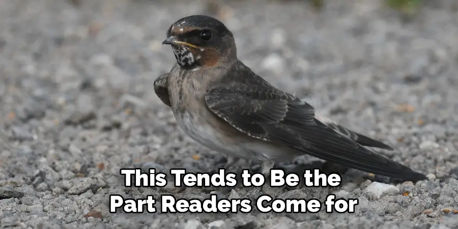 This tends to be the part readers come for