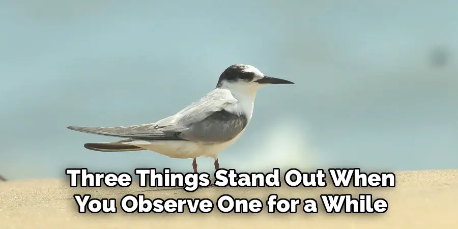 Three Things Stand Out When
You Observe One for a While