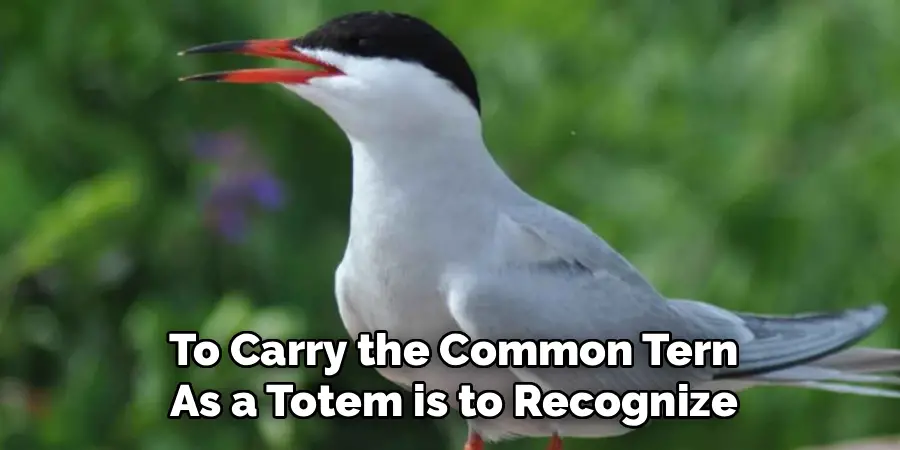To Carry the Common Tern
As a Totem is to Recognize