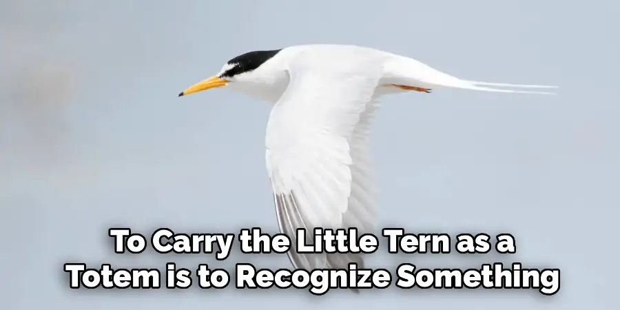 To Carry the Little Tern as a
Totem is to Recognize Something