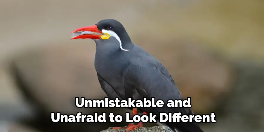 Unmistakable and
Unafraid to Look Different