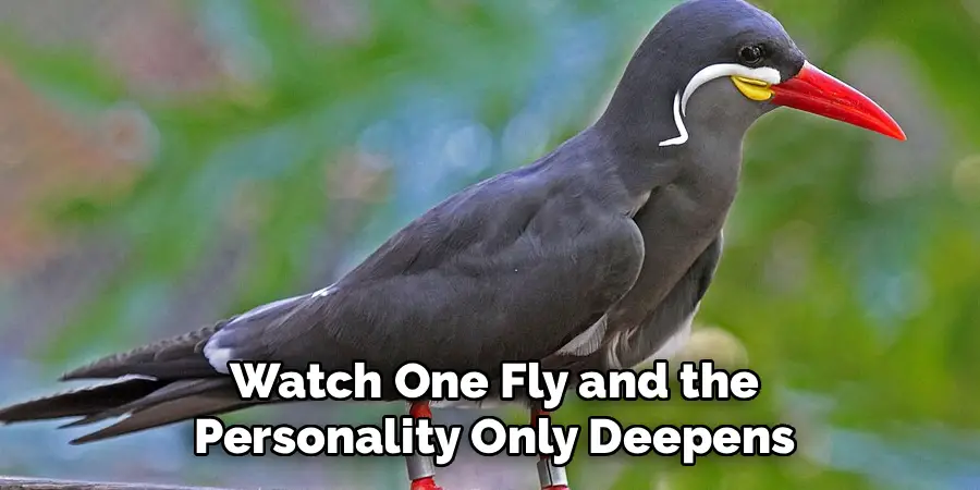 Watch One Fly and the
Personality Only Deepens
