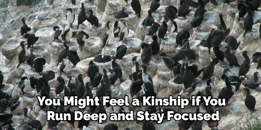 You Might Feel a Kinship if You
 Run Deep and Stay Focused