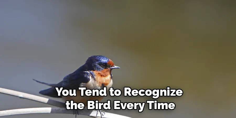 You Tend to Recognize
the Bird Every Time