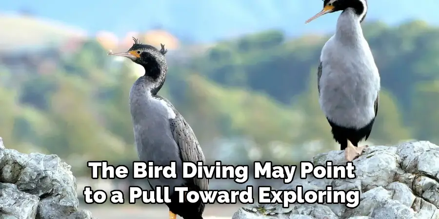 the Bird Diving May Point
to a Pull Toward Exploring