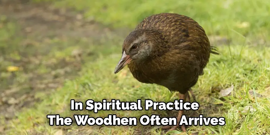 In Spiritual Practice
The Woodhen Often Arrives