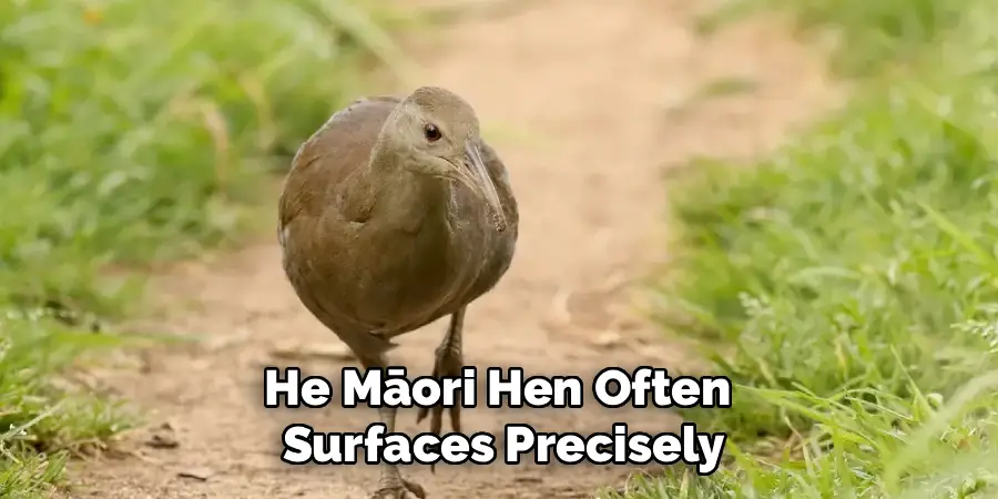 He Māori Hen Often
Surfaces Precisely
