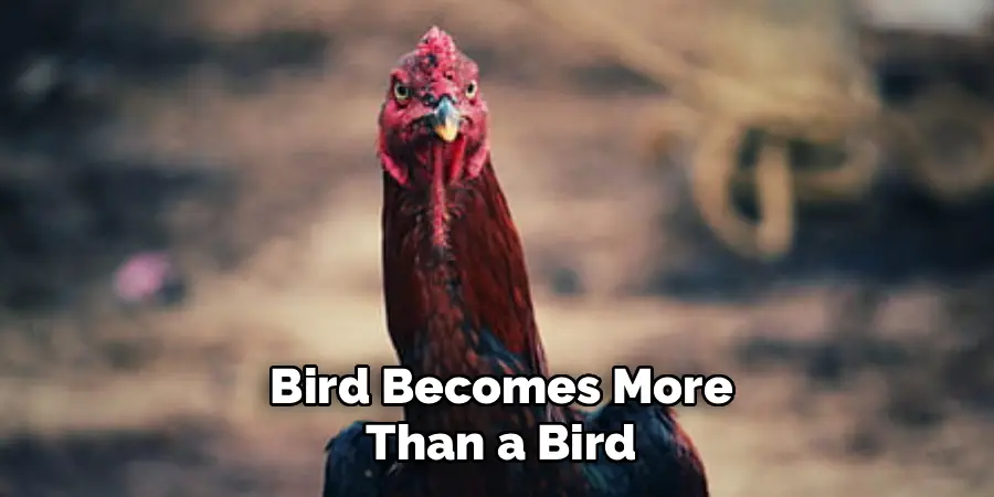 Bird Becomes More
Than a Bird