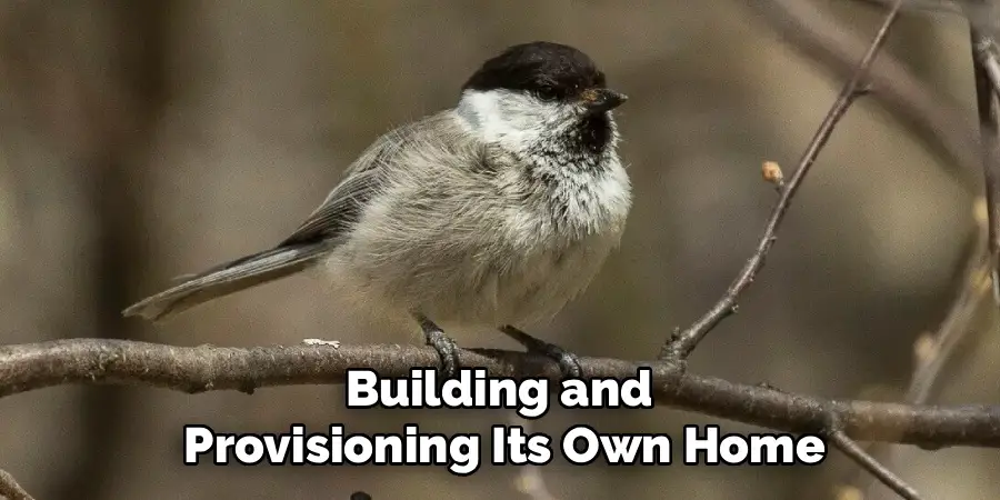 Building and
Provisioning Its Own Home