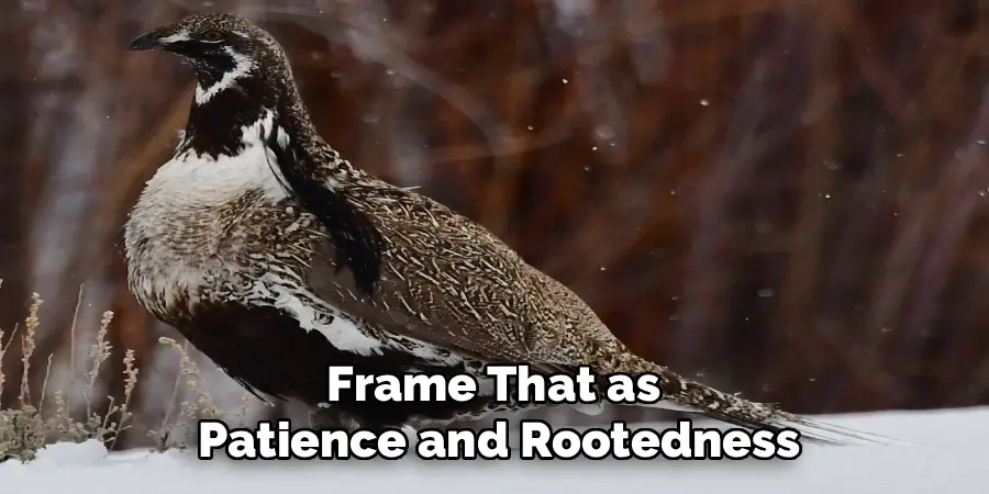 Frame That as 
Patience and Rootedness