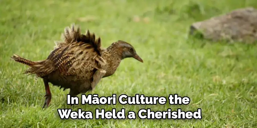 In Māori Culture the 
Weka Held a Cherished