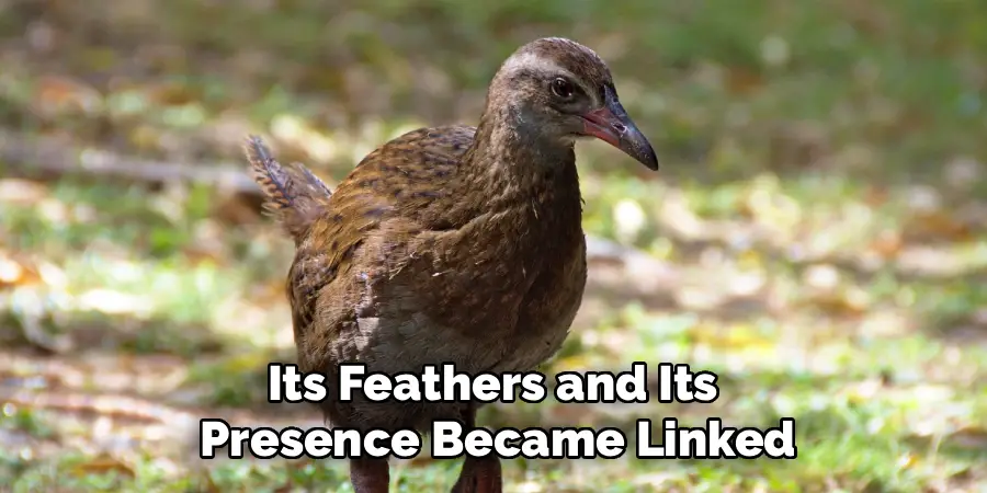 Its Feathers and Its
Presence Became Linked