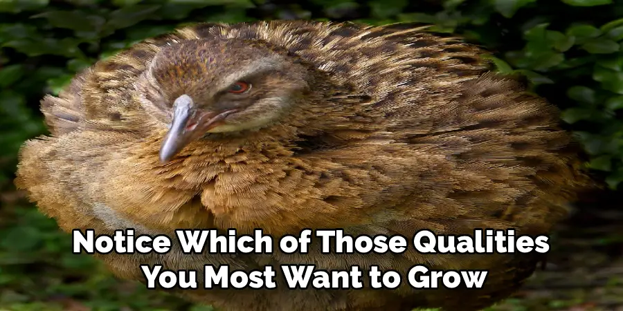 Notice Which of Those Qualities 
You Most Want to Grow