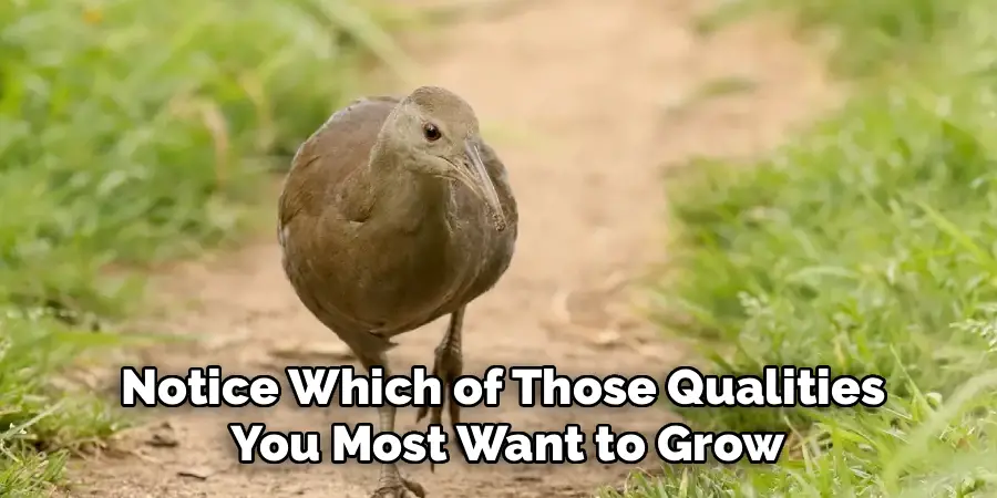 Notice Which of Those Qualities
You Most Want to Grow