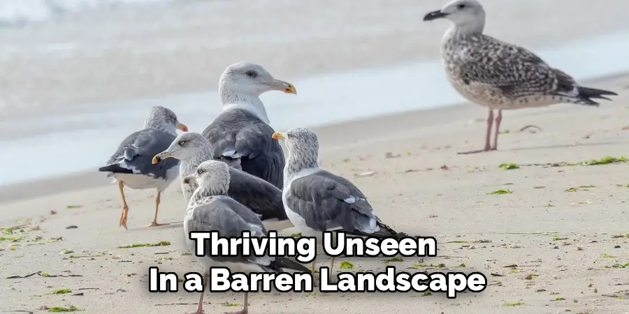 Thriving Unseen
In a Barren Landscape