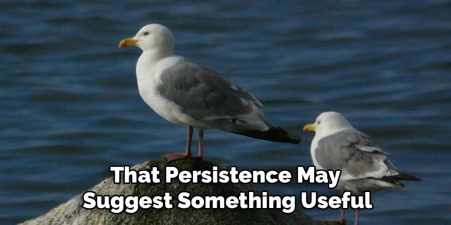 That Persistence May
Suggest Something Useful