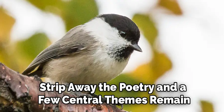 Strip Away the Poetry and a
Few Central Themes Remain
