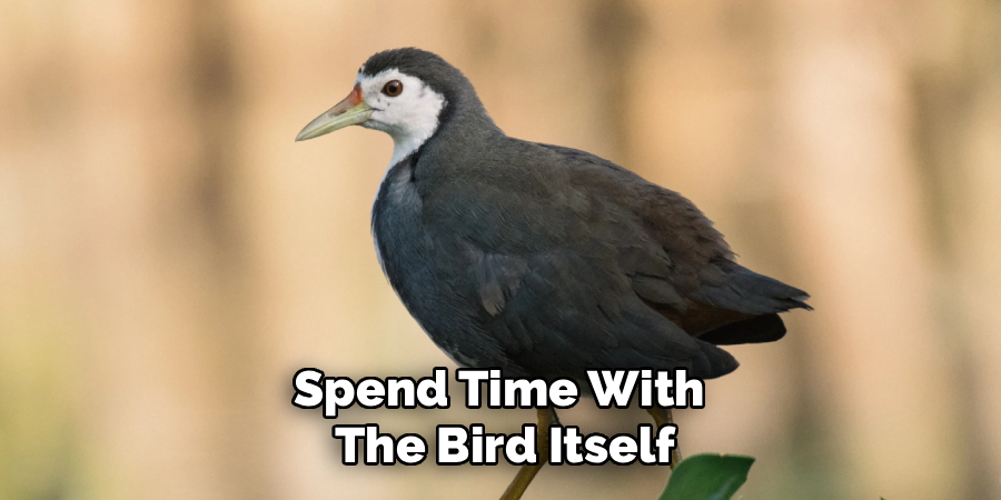 Spend Time With
The Bird Itself