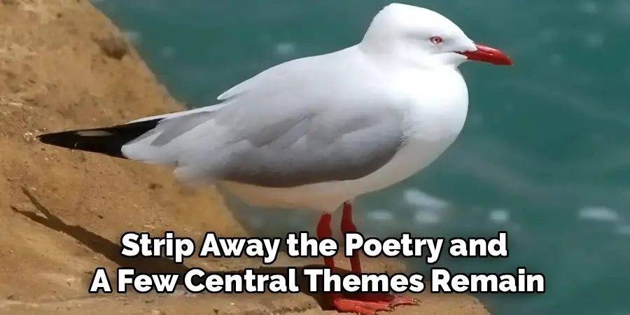 Strip Away the Poetry and
A Few Central Themes Remain
