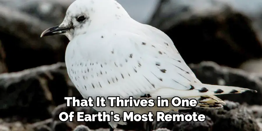 That It Thrives in One
Of Earth's Most Remote