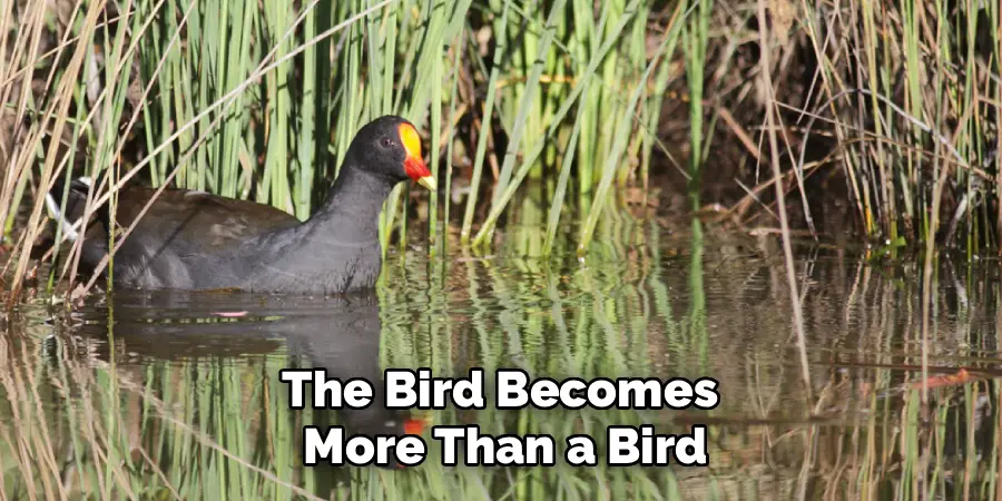 The Bird Becomes 
More Than a Bird