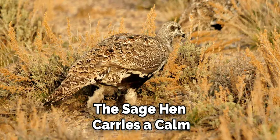 The Sage Hen 
Carries a Calm