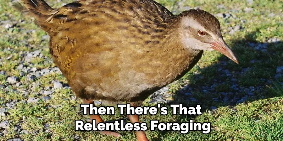 Then There's That 
Relentless Foraging