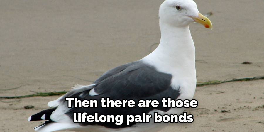 Then there are those
lifelong pair bonds