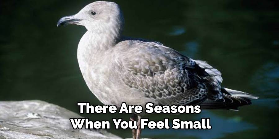 There Are Seasons
When You Feel Small