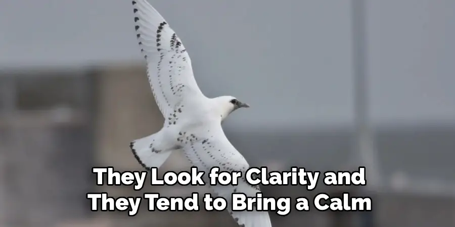 They Look for Clarity and
They Tend to Bring a Calm