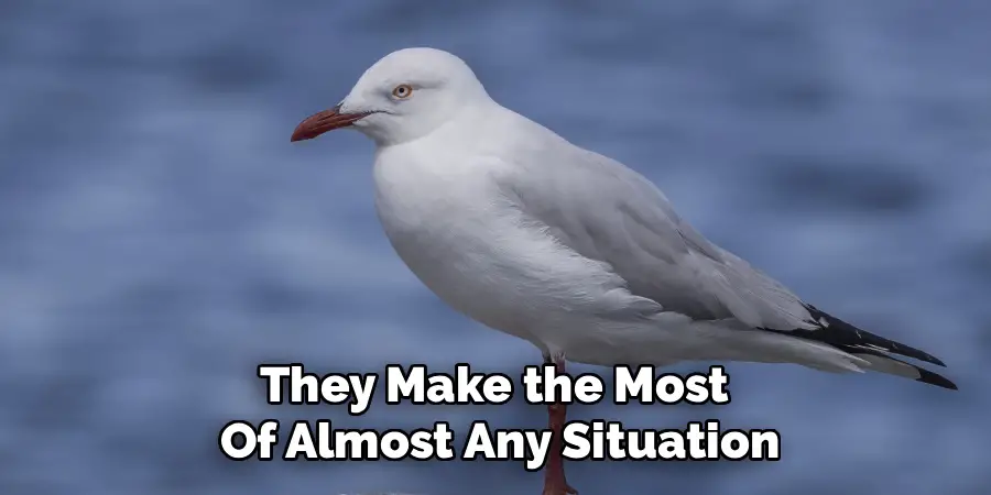 They Make the Most
Of Almost Any Situation