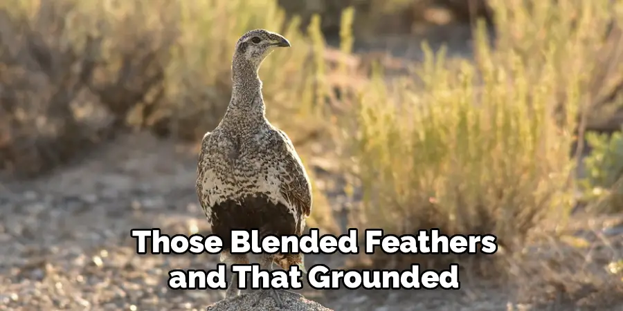 Those Blended Feathers
 and That Grounded 