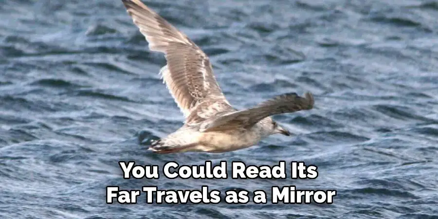 You Could Read Its
Far Travels as a Mirror