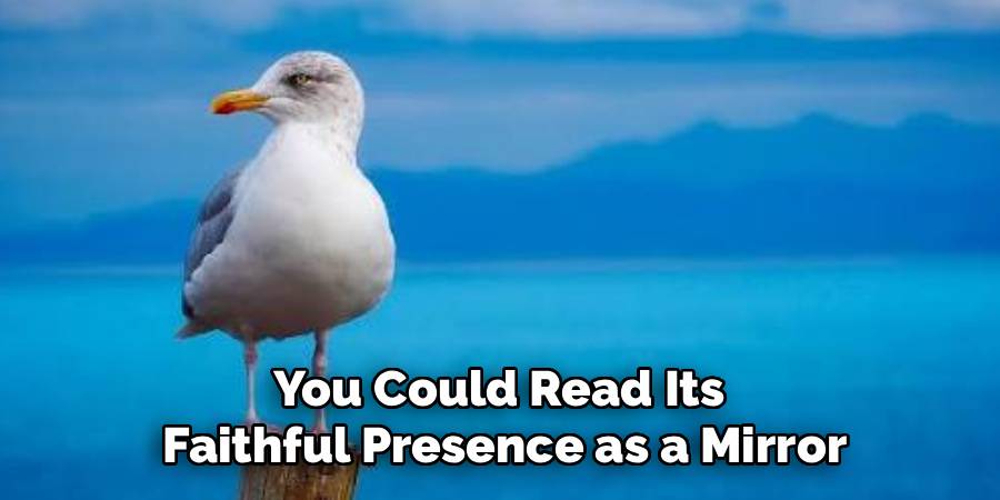 You Could Read Its
Faithful Presence as a Mirror