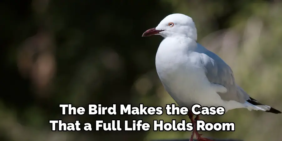 the Bird Makes the Case
That a Full Life Holds Room