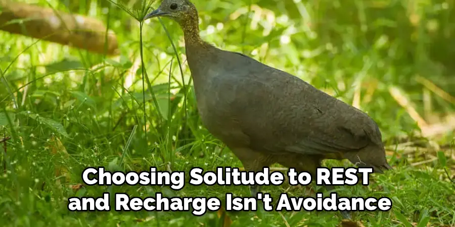 Choosing Solitude to REST
and Recharge Isn't Avoidance