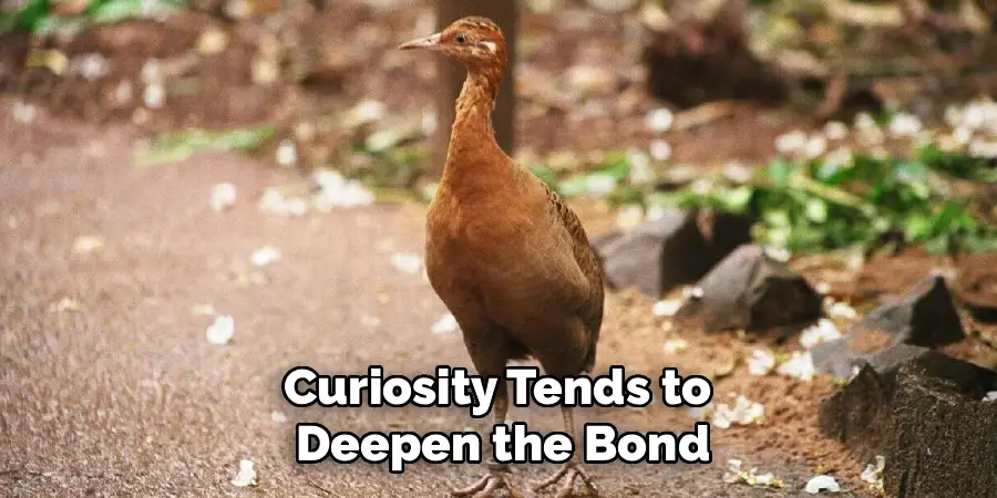 Curiosity Tends to 
Deepen the Bond