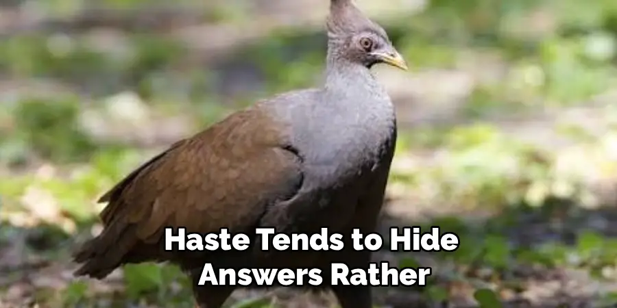 Haste Tends to Hide Answers Rather