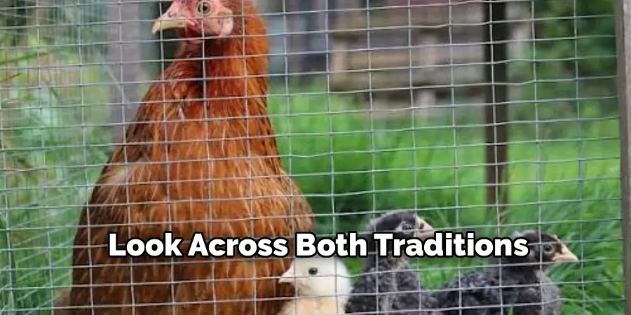 Look Across Both Traditions