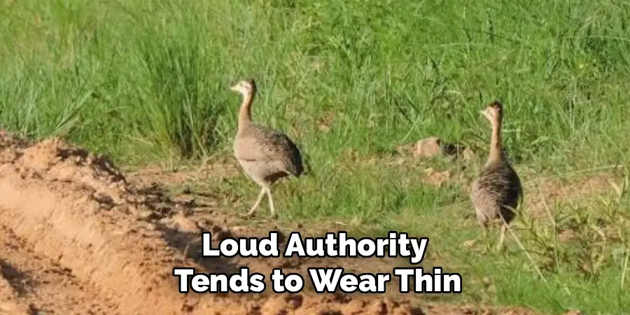 Loud Authority Tends to Wear Thin
