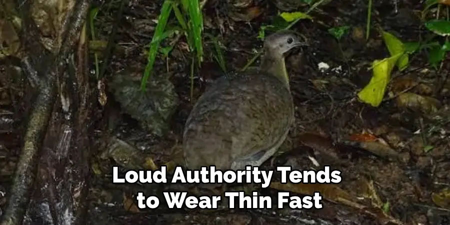 Loud Authority Tends
to Wear Thin Fast