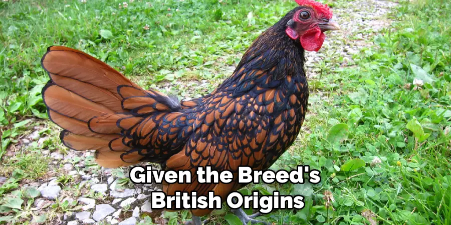 Given the Breed's
British Origins